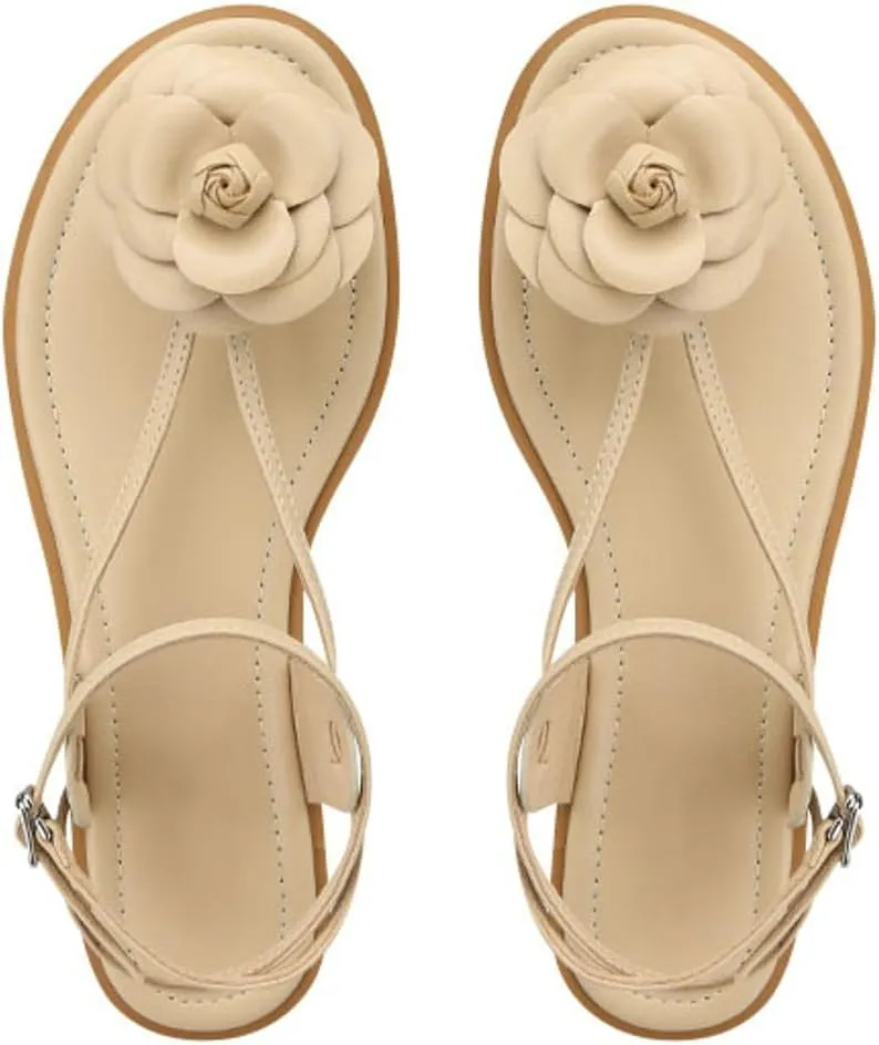 Caistre Slide Sandal for Women Elegant Flower Dress Sandal Comfortable 2025 Indoor Outdoor Beach Open Toe Thong Shoes